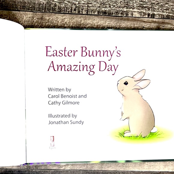 Easter Bunny’s Amazing Day Hardcover Children’s Book | NEW - Picture 10 of 11